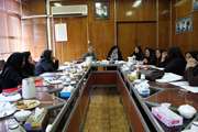 چهارمین نشست کارگروه بازنگری و اصلاح شرح وظایف مددکاران اجتماعی شاغل در مراکز بهداشتی در بیمارستان سینا 1391